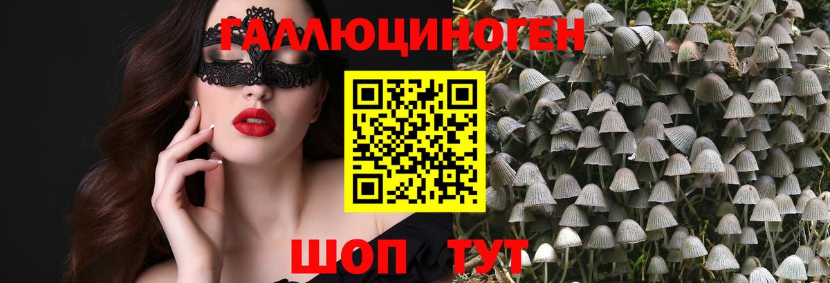 Чистополь  Псилоцибиновые грибы Magic Shrooms  Вход с VPN 